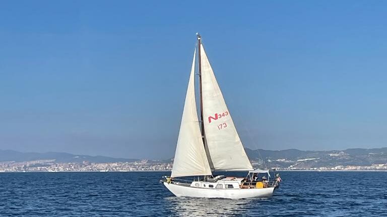 Project Slow Thinker